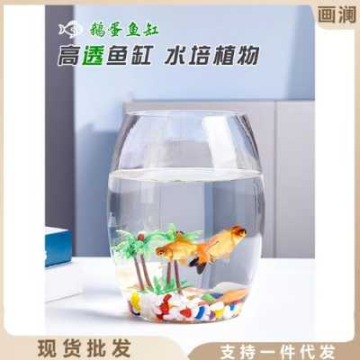 鱼缸玻璃制品（鱼缸玻璃制品图片）